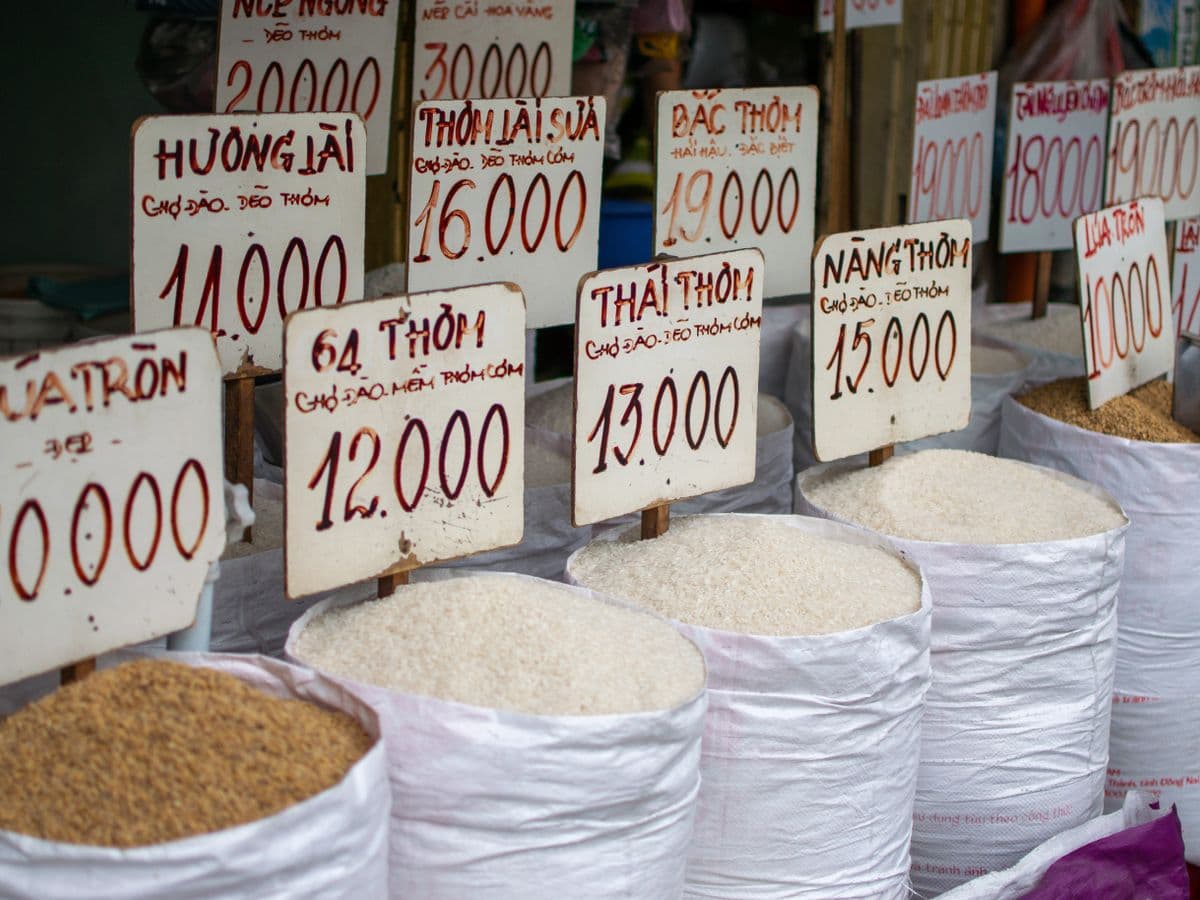 Arroz branco tipo 1 — fardo