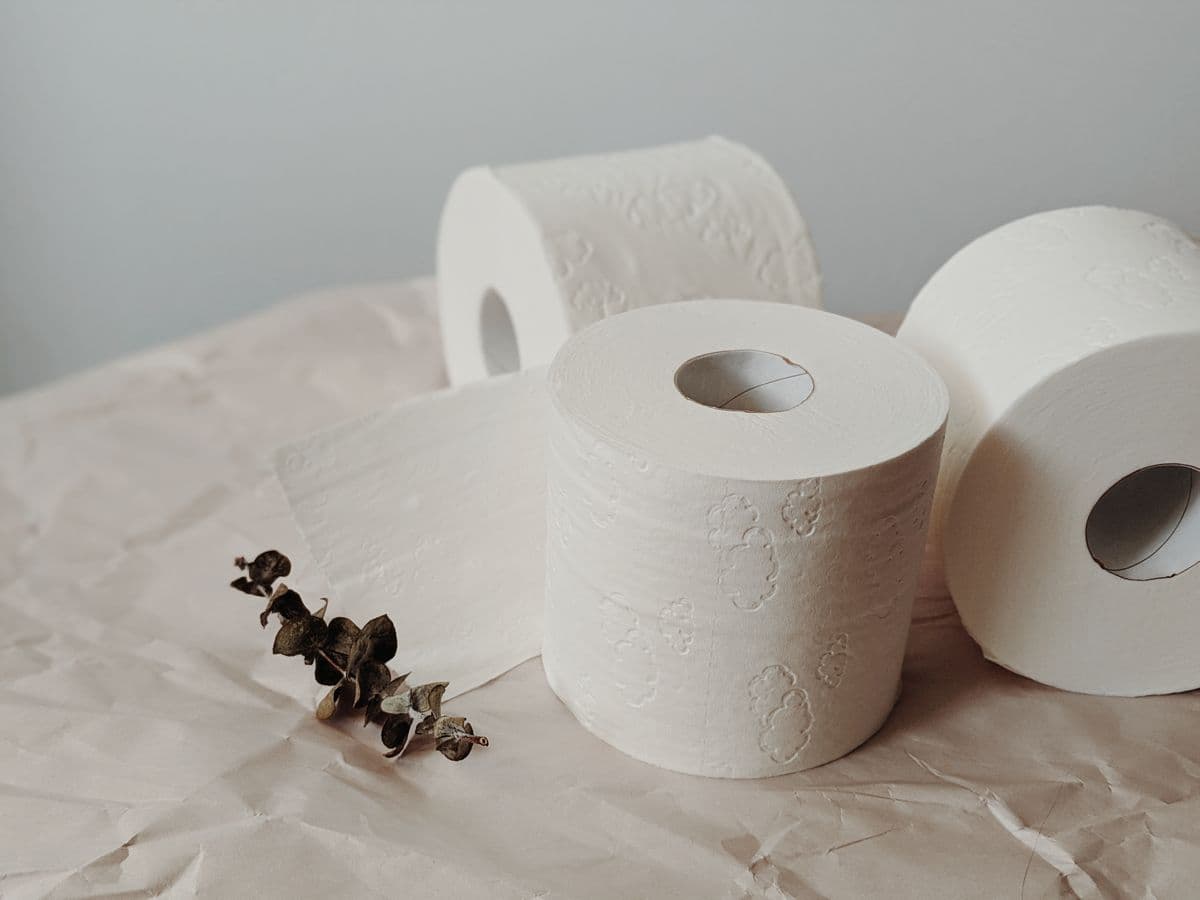 Papel higiênico folha simples — fardo