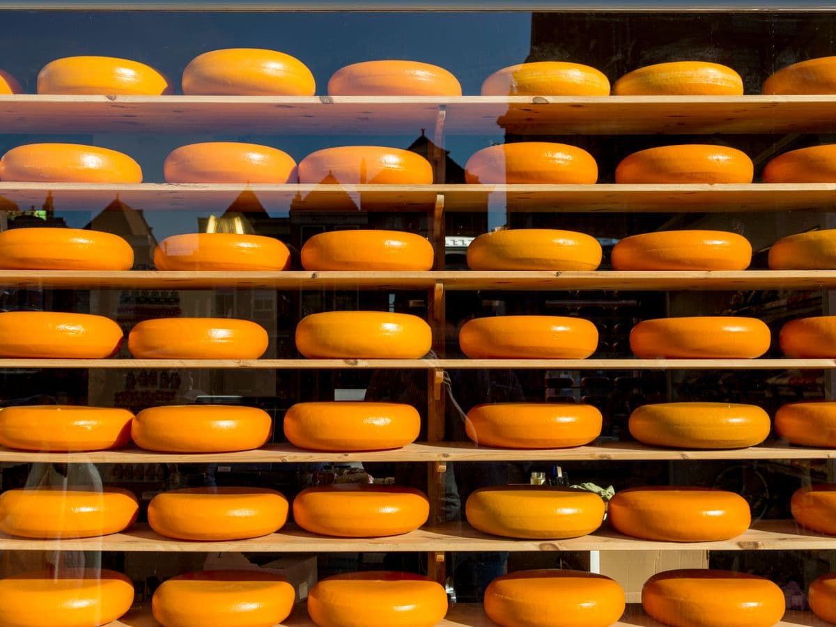 Queijo coalho — peça
