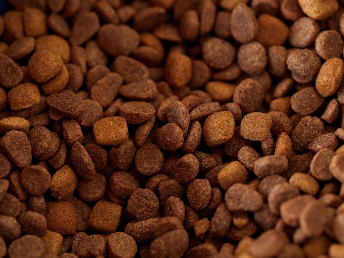 Ração para cães adultos — 15 kg